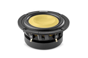 FOCAL CAR SUB 5 KM
